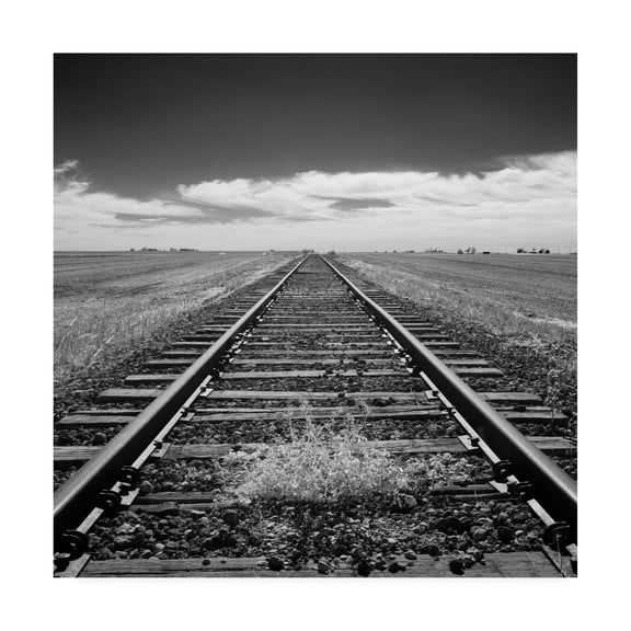 Trademark Fine Art 'Tracks To Infinity' Canvas Art by Monte Nagler