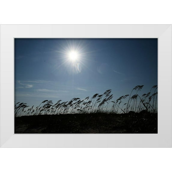 Melanson, Suzanne 24x17 White Modern Wood Framed Museum Art Print Titled - Field Of Light