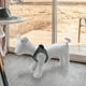 thumbnail image 3 of Maniquí de perros,perro maniqui pantalla para ropa ropa blanco,Tienda de mascotas,modelo de pie para perros,suministros para mascotas,Postura de pie de maniquíes de perro de cuero PU,ropa, 3 of 8