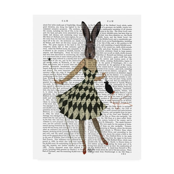 Trademark Fine Art 'Rabbit In Black White Dress' Canvas Art by Fab Funky