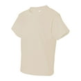thumbnail image 2 of Fruit of the Loom Boys 4-12 HD Cotton Youth Tee, 2 of 5