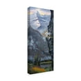 thumbnail image 2 of Trademark Fine Art 'Cliff Hanger' Canvas Art by Allen Jimmerson, 2 of 3