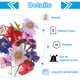 thumbnail image 3 of Flores prensadas secas, hojas florales reales secas para manualidades de bricolaje multicolor, 3 of 6