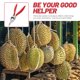 thumbnail image 3 of unbranded Utensilio De Cocina De En Acero Inoxidable Para Separar Durian Y Melón, 3 of 7