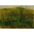 thumbnail image 3 of Christian Friedrich Gille 18x14 Black Modern Framed Museum Art Print Titled - Plants on the Bank, 3 of 5