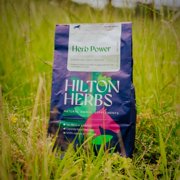 Hilton Herbs Herb Power Horse Supplement – 2.2 lb