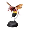 thumbnail image 1 of Insects Gashapon Big Picture Book Series Mantis Spider Scorpion Wasp Simulation Insect Action Figure Model Toys, 1 of 5