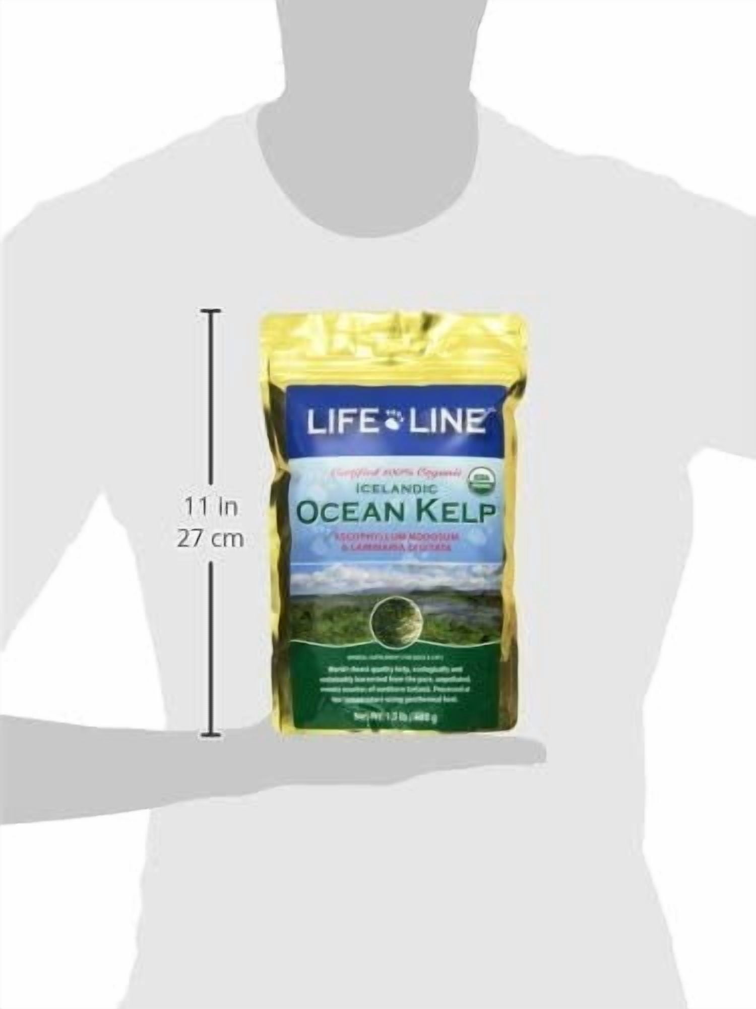 Organic Ocean Kelp Supplement for Pets – 1.5 LB – For Dogs & Cats – Promotes Healthy Skin, Coat & Immune Support – Rich in Natural Minerals & Omega-3