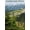 Unframed, variant on Art.com Hurricane Ridge, Olympic National Park, Washington Art Print by Lantern Press, 12" x 18"