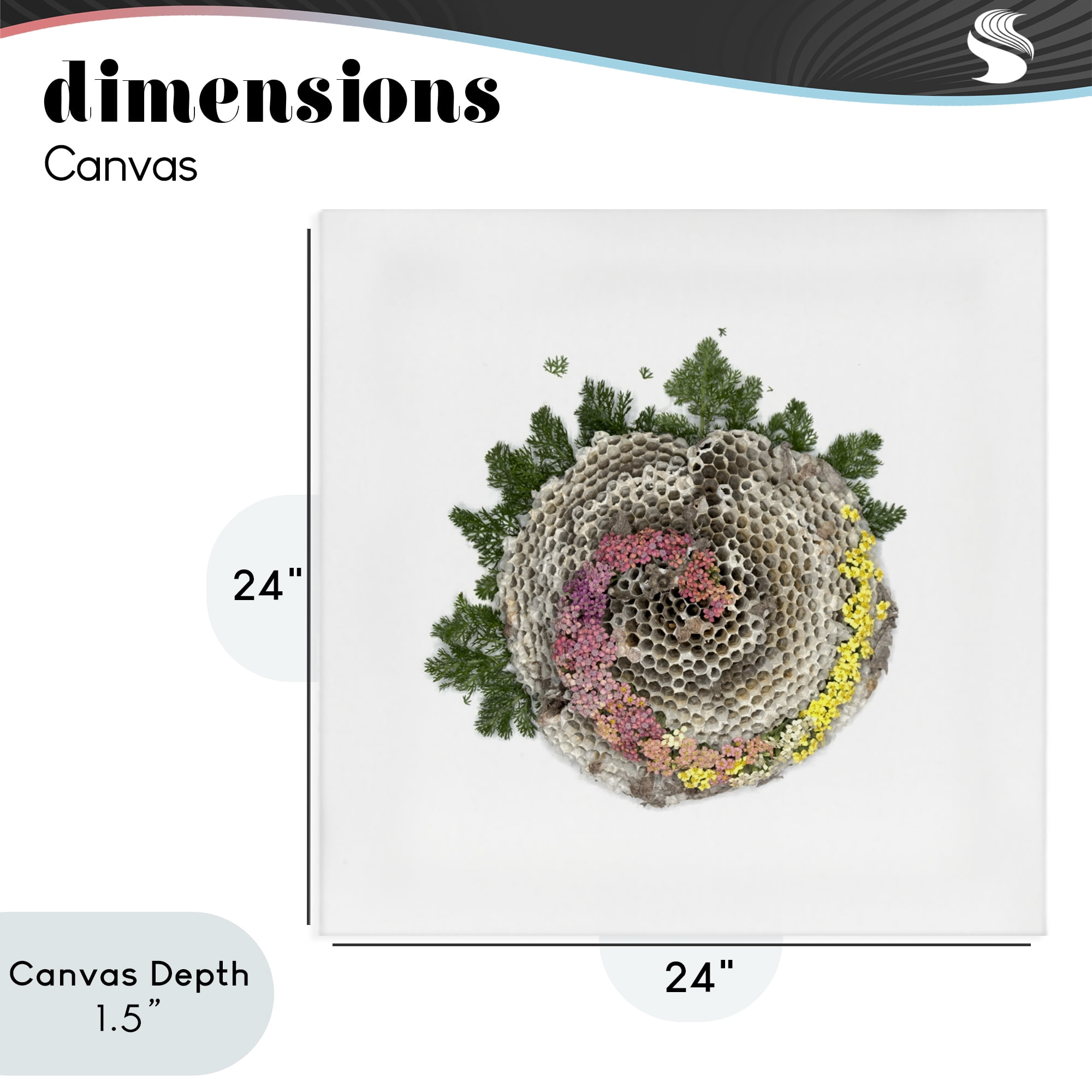 Stupell Industries Honeycomb with Botanicals Canvas Wall Art, design by Beth Adoette