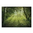 thumbnail image 1 of Magic Cutting Board, Freshening Morning in Nature Summer Season Sunset Environment Wilderness Mist Theme, Decorative Tempered Glass Cutting and Serving Board, Small Size, Green, by Ambesonne, 1 of 1