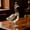 Transparent, variant on 30th Anniversary 3d Sculpted Vodka Bottle, Goose Wine Bottle Holder, 350ml Goose Glass Whiskey Bottle, Whiskey Decanter Container, Transparent Liquor Decanter, for Bar, Home (Transparent, 1PC)