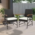 thumbnail image 2 of Costway Conjunto de 2 Sillas de Mimbre para Patio Sillas de Ratán PE con Cojín Suave Reposabrazos Marco Metal Sillones para Jardín Balcón Piscina, 2 of 8