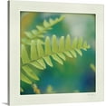 thumbnail image 1 of Great BIG Canvas | "Natures Fern I" Canvas Wall Art - 30x30, 1 of 2