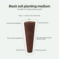 thumbnail image 2 of Kit de sistema de cultivo hidropónico, máquina de plantación hidropónica, sin suelo, 161 Uds., 2 of 8