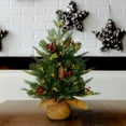 thumbnail image 5 of National Tree Company 2 ft. Nordic Spruce® Tree with LED Lights, 5 of 5
