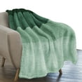 thumbnail image 2 of PAVILIA Fluffy Sherpa Throw Blanket Ombre | Gradient Plush, Soft, Fuzzy, Decorative Accent Throw Blanket for Couch Sofa Bed | Cozy Warm Decorative Furry Faux Fur Blanket, 50x60 Inches Green, 2 of 7