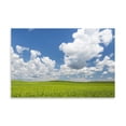 thumbnail image 2 of Gango Home Decor Palouse Farm II by Kathy Mahan (Printed on Paper); One 36x24in Fine Art Paper Giclee Print, 2 of 4