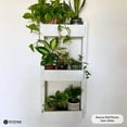thumbnail image 3 of Wall Planter Porcelain, 3 of 6