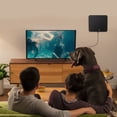 thumbnail image 2 of Smart Switch Control Antenne Hdtv Amplifiée, Puce Ic Intelligente Avancée Câble Coaxial Extra Long pour une Installation Sans Tracas et une Réception de Signal Supérieure, Tv Full Hd Cristal-Clair, 2 of 8