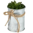 thumbnail image 4 of Northlight 7" Mini Artificial Sprouting Rose Succulent in Tin Can Planter with Twine Bow, 4 of 6