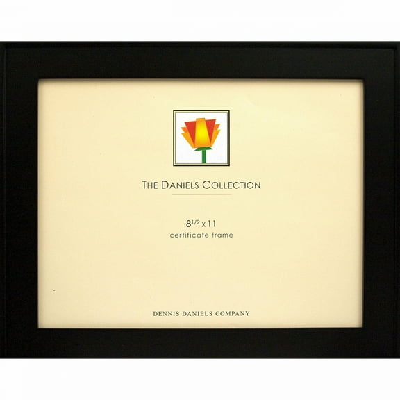 ONE-STEP Gallery Style frame in Ebony-Black 8 5x11 by Dennis Daniels - 8.5x11