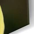 thumbnail image 3 of Epic Art 'Yellow Blossom' by Photoinc Studio, Acrylic Glass Wall Art, 12"x12", 3 of 9