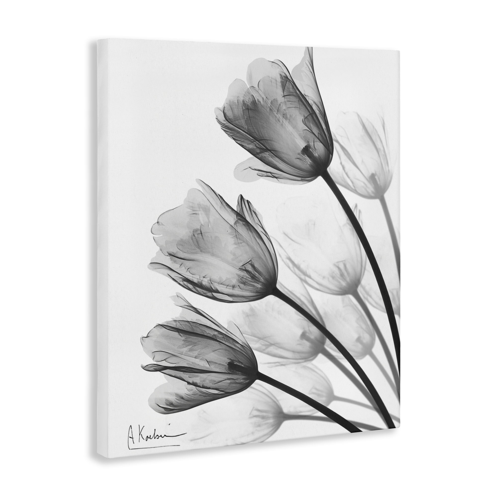 Stupell Industries Minimalist Tulip Fan Canvas Wall Art, design by Albert Koetsier