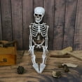 thumbnail image 4 of BNNG Halloween Skeleton Decorations, Full Body Realistic Faux Human Skeletons Posable Joints Halloween Skeletons for Haunted House Props Décor Full Body Mini Plastic Skeleton for Yard Garden, 4 of 4
