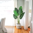 thumbnail image 4 of Bird of paradise plant green, tropical artificial plant for indoor home living room and office decoration, 4 of 4