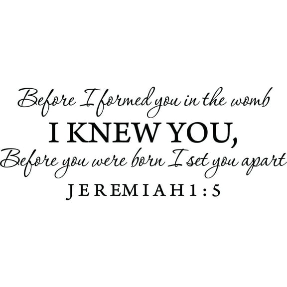 Black 22" x9" Decaltor Before I formed you in the womb Jeremiah 1:5 Vinyl wall art family mother newborn bible prayer Inspirational quotes and saying home décor