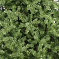 thumbnail image 2 of Arbol de Navidad Canadiense Gigante NAVIPLASTIC Verde No.10 300 cm, 2 of 3