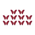 thumbnail image 1 of dianhelloya Nail Art Supplies 10Pcs Nail Art Decor Shining Three-dimensional Gloss Non-fading DIY Faux Crystal Manicure Craft Butterfly Nail Charm Nail Salon Supply, 1 of 7