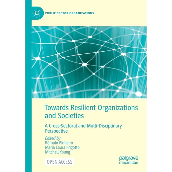Public Sector Organizations Towards Resilient Organizations and Societies: A Cross-Sectoral and Multi-Disciplinary Perspective, (Paperback)