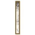 thumbnail image 2 of ArtToFrames 5" x 51" Antique Gold Picture Frame, 5x51 inch Gold Wood Poster Frame (WOM-2035),  Pack, 2 of 8