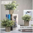 thumbnail image 2 of 3 Pack Mini Potted Artificial Plants Fake Eucalyptus Greenery in Pots for Home Office Desk Decor, 2 of 5