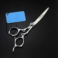 thumbnail image 1 of Tijeras profesionales para cortar el cabello, 6 pulgadas, acero inoxidable japonés 440C, tijeras ergonómicas de barbero, color plata., 1 of 5