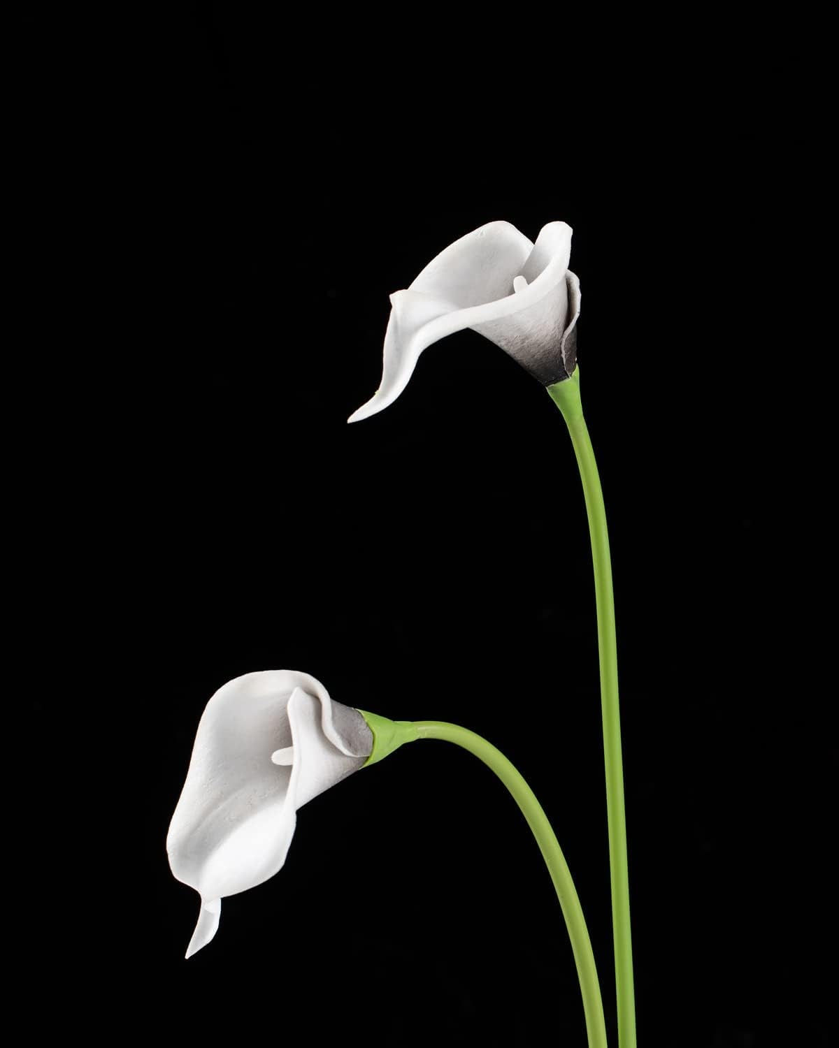 20Pcs Artificial Calla Lily Flower Real Touch Latex Flowers for DIY Wedding Bouquet Party Home Decor (Pure White)
