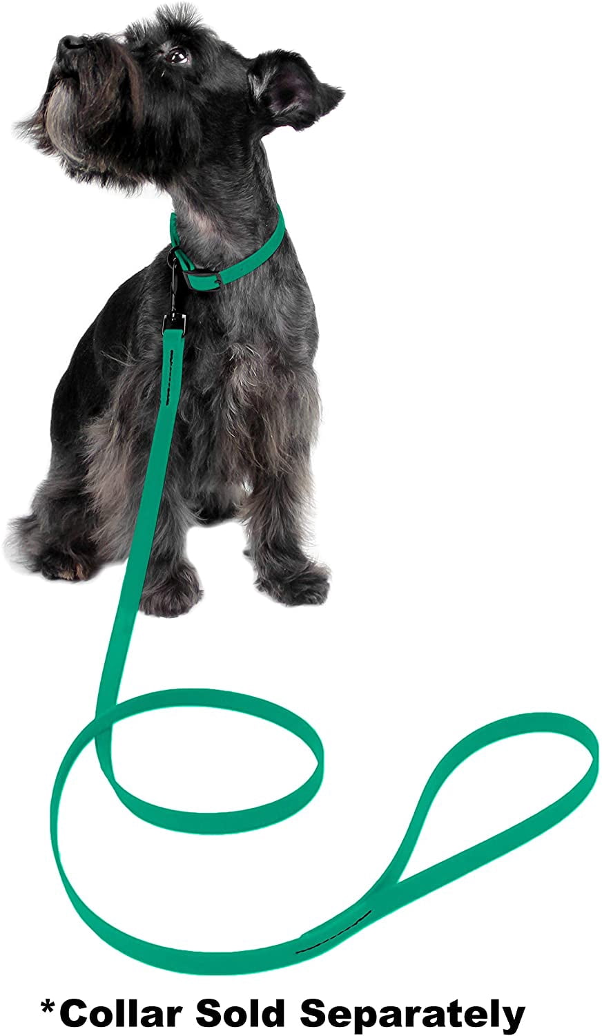 DogLine - Biothane Waterproof Dog Leash Strong Coated Nylon Webbing with Black Hardware Odor-Proof for Easy Care Clean High Performance for Small or Large Dogs(Teal: Width 3/4" | L: 72"(6ft))