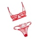 thumbnail image 4 of Conjunto de lencería de encaje para mujer, ropa interior con encaje floral, sujetador y braguita transparentes con aros METRO, 4 of 9