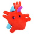 thumbnail image 1 of Órgano de corazón de felpa con diseño anatómico de microbios gigantes, 6 cm, 1 of 9