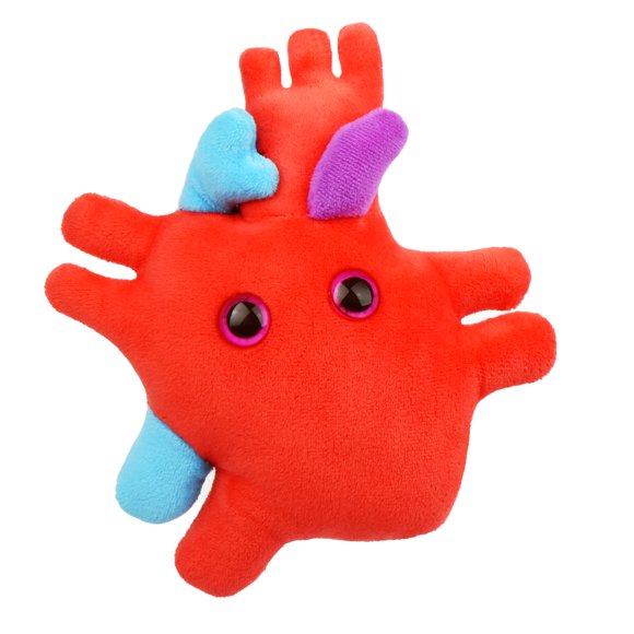 Órgano de corazón de felpa con diseño anatómico de microbios gigantes, 6 cm
