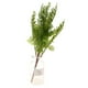 thumbnail image 3 of Planta artificial de helecho de 7 ramas para decoración floral del hogar 2, 3 of 9