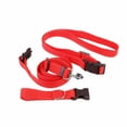 thumbnail image 1 of Collier et Laisse pour Chien Ensemble en Nylon Réglable Collier et Laisse Personnalisés pour Chien, 1 of 5