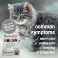 thumbnail image 3 of HomeoPet Feline Nose Relief Nasal and Sinus Health Supplement Solution for Cats, 15-Milliliter Bottle, 3 of 9