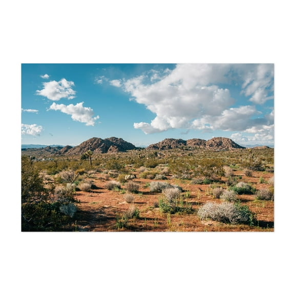 Desert Landscape, Joshua Tree 02 - California Photography Unframed Wall Art Print 5 x 7 inches