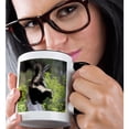 thumbnail image 2 of 3drose, North America, Usa, Montana. Skunk Wildlife - Us27 Tve0004 - Tom Vezo, 11oz Two-tone Black Mug, 2 of 6