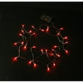 thumbnail image 7 of The Perfect 600026 30 LED String Light Battery Operated, Green, 7 of 7