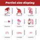 thumbnail image 5 of 2025 Day Window Stickers Day RoseDay Decorative Glass Window Stickers 9pcs, 5 of 9