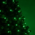 thumbnail image 6 of Wintergreen Lighting LED Christmas Tree Lights, T5 Mini Lights, LED String Lights, Christmas String Lights, 50 Lights, Green Wire, 6 of 7